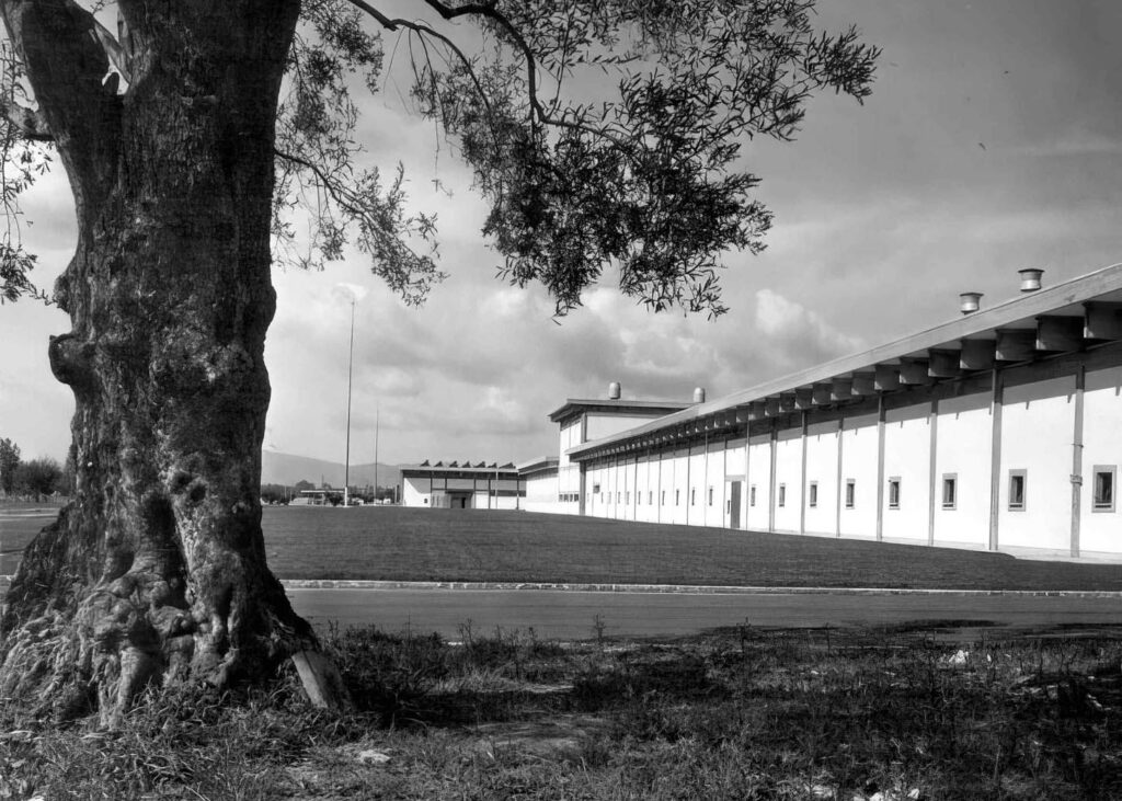 MANIFATTURA CERAMICA POZZI VERNICI