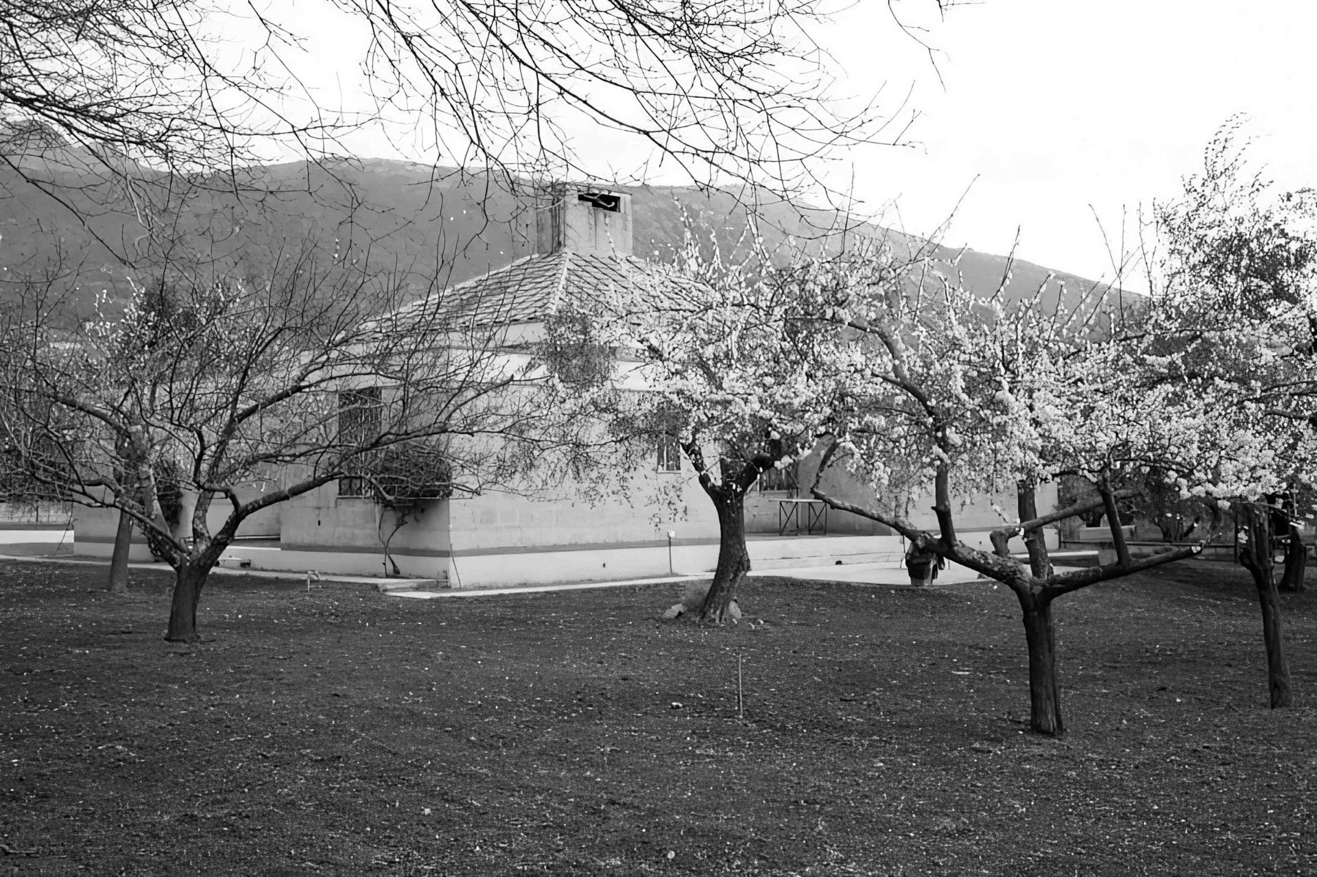 CASA DELL’ARCHITETTO